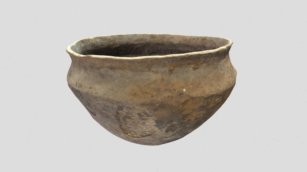 P119 SF3188 Must Farm Fineware Bowl