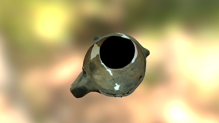 29792 Cana 3D Model