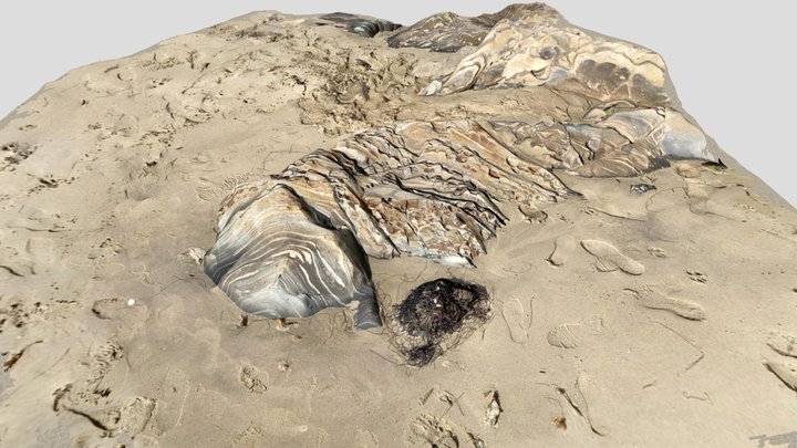 Monterey Formation - Elwood Beach 3D Model