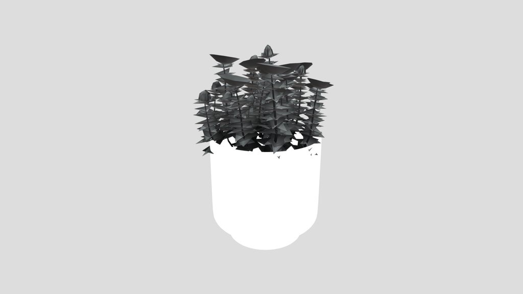 Plant Redpod Flower Pot