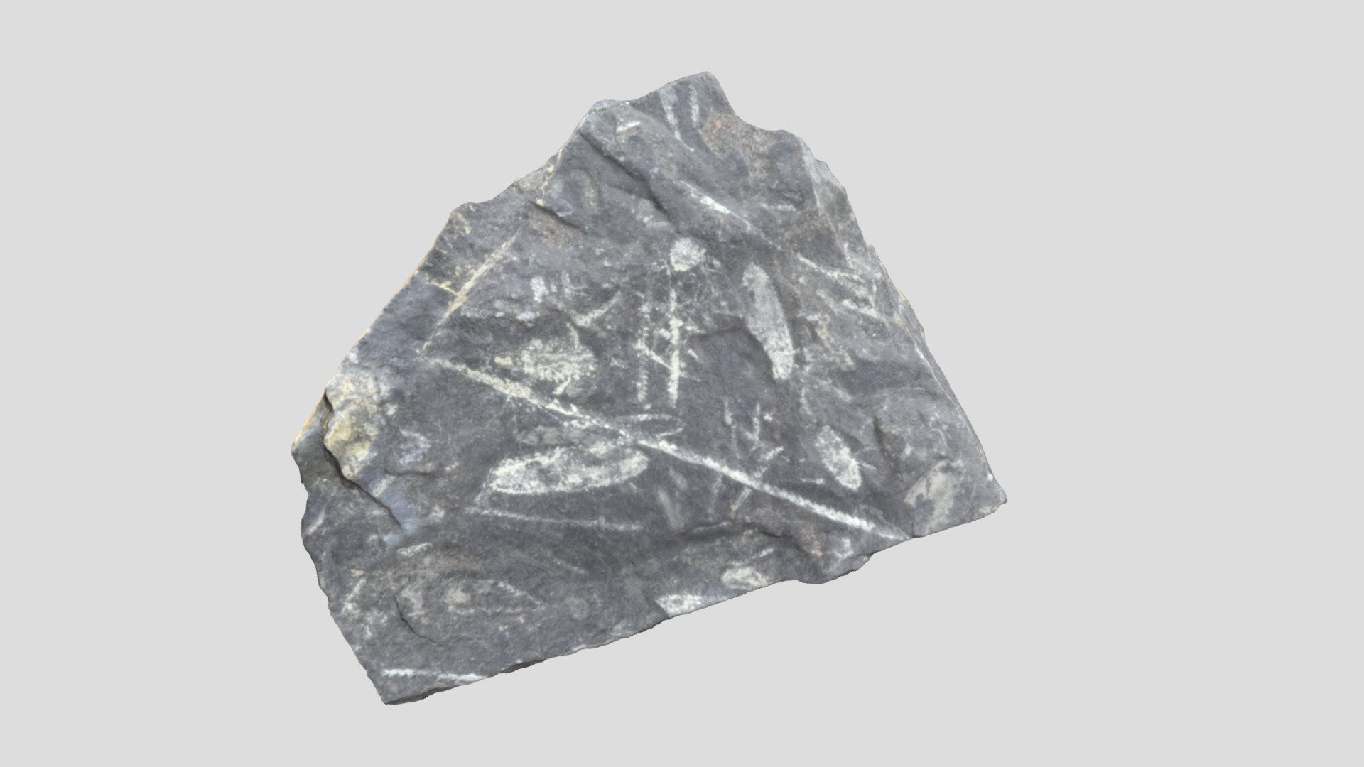 Unknown Specimen Download Free 3D model by BCGeology [1efec64