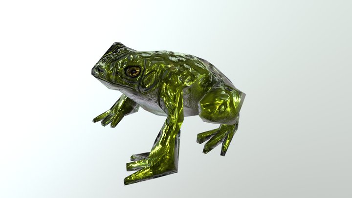 sapo - frog 3D Model