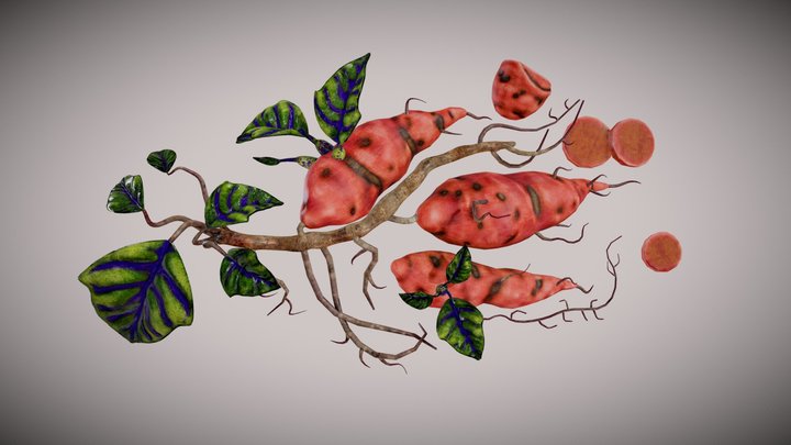 Sweet Potato 3D Model