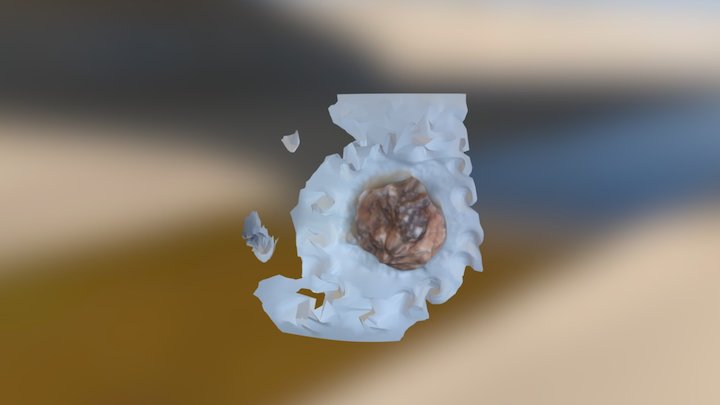 My model 3D Model