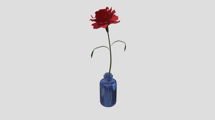 Single flower / Carnation * red 3D Model