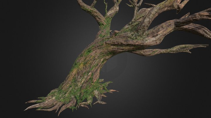 dead Tree A 3D Model