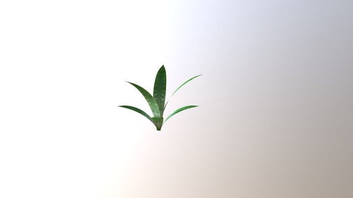 Куст 3D Model