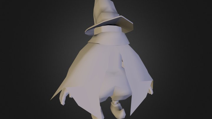 Wizard Fbx File 3D Model