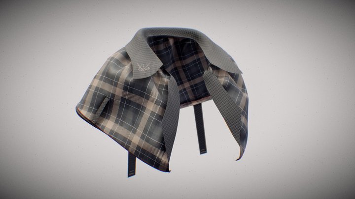 Classic Detective Cape 3D Model