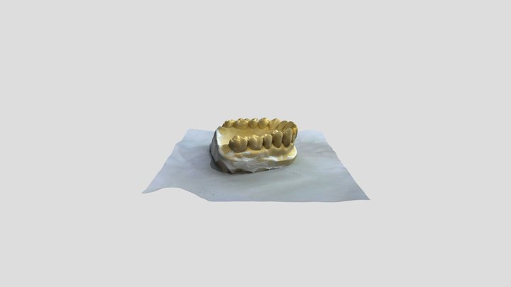 ARCADA SUPERIOR 3D Model
