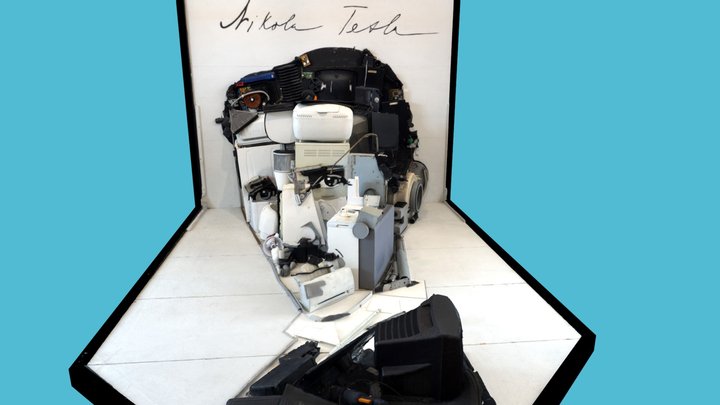 Nikola Tesla – 3D Model, Anamorphosis 3D Model