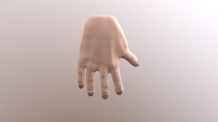 Zbrush Sculpted Hand 3D Model