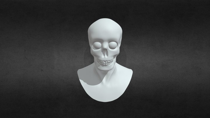SKULL 3D MODEL 3D Model