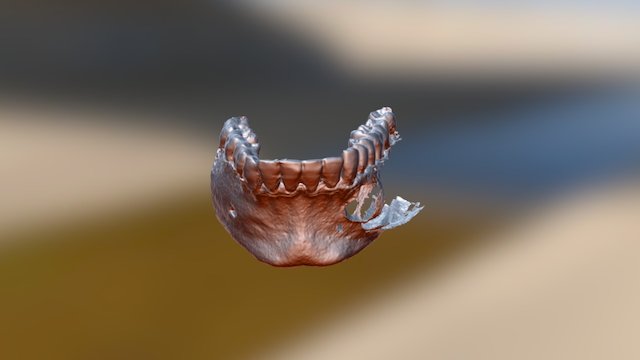 Begum Mumtaz For Print 3D Model