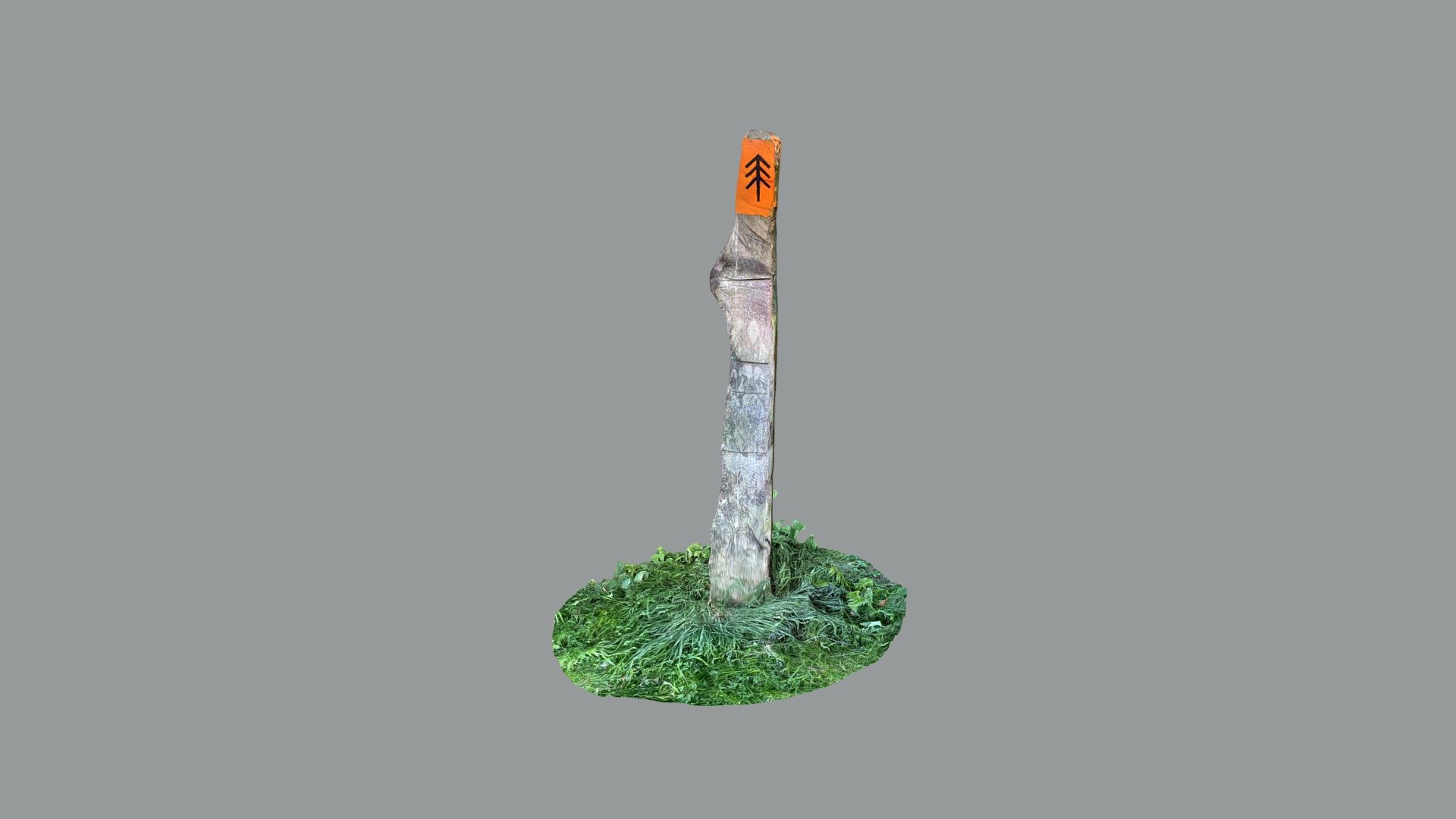 Kingdom Sign Post