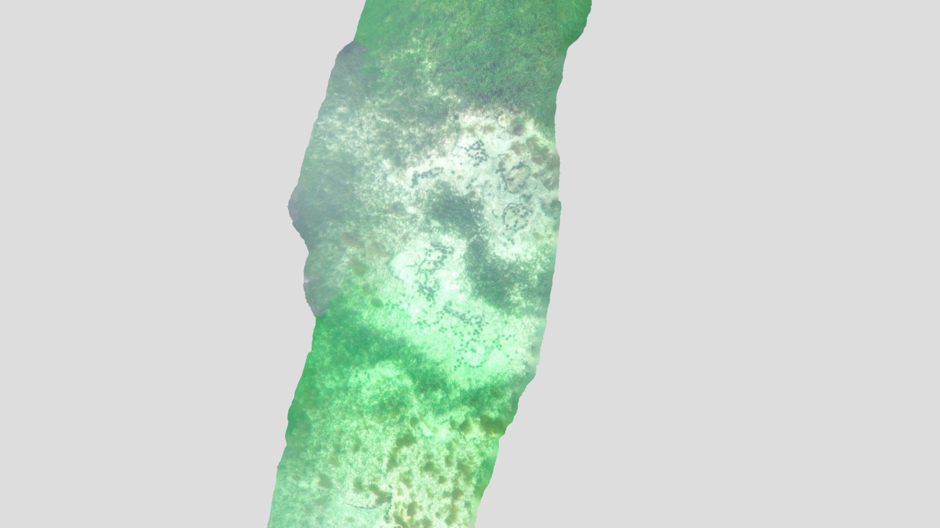 Seagrass to Urchin Barren
