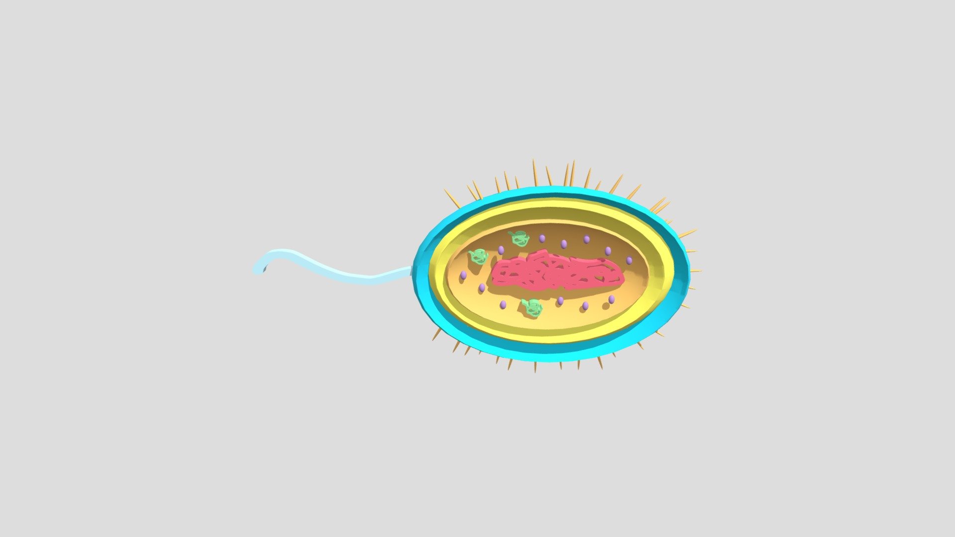 microughs_vibriocholerae_AHO_PRV