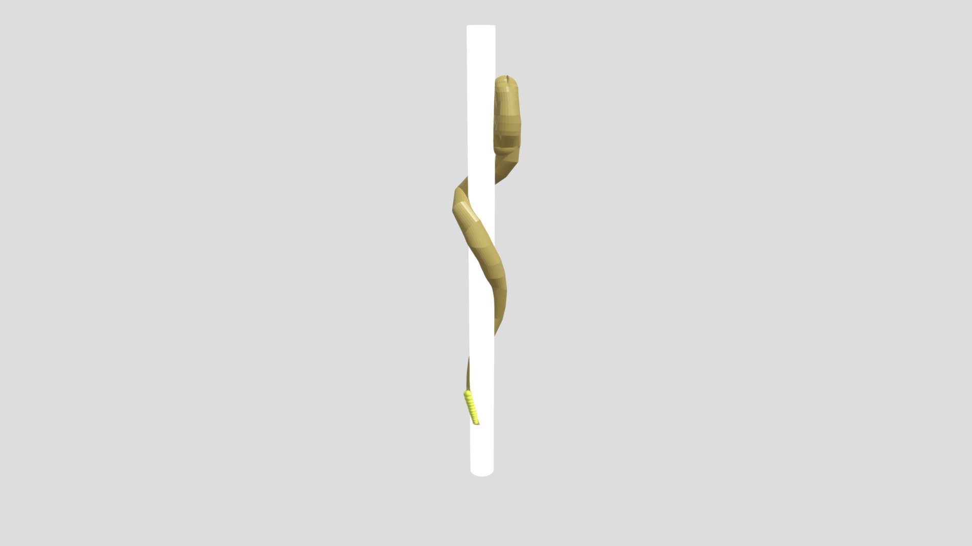 Snake On A Stick