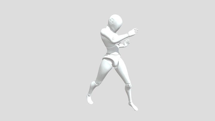 Boxing Animation (FBX) 3D Model