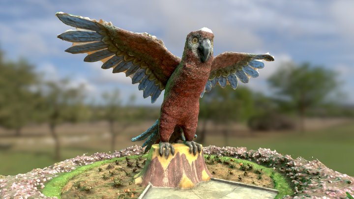 Parrot in Bali 3D Model