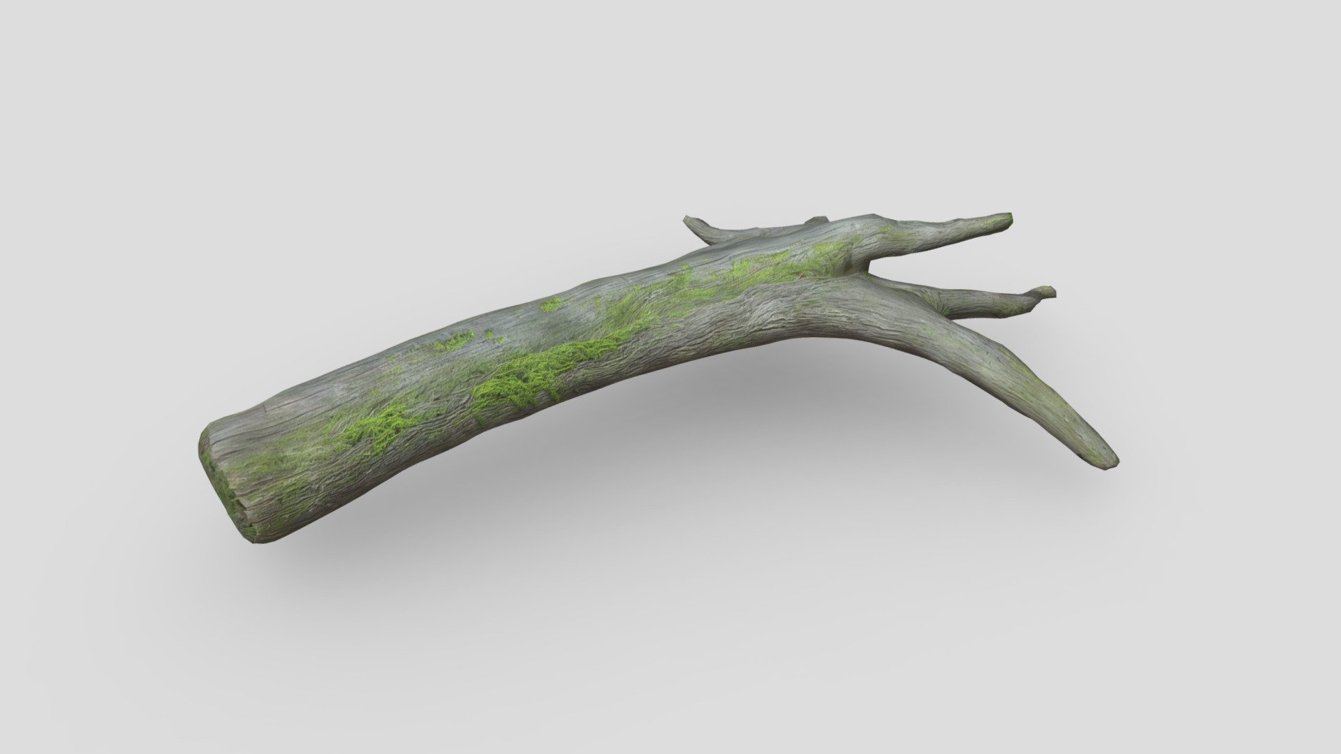 Fallen Tree - Buy Royalty Free 3D model by plaggy [1f24ca6] - Sketchfab ...