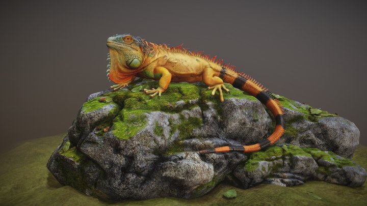 lizard 3D Model