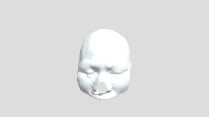 Skin 3D Model