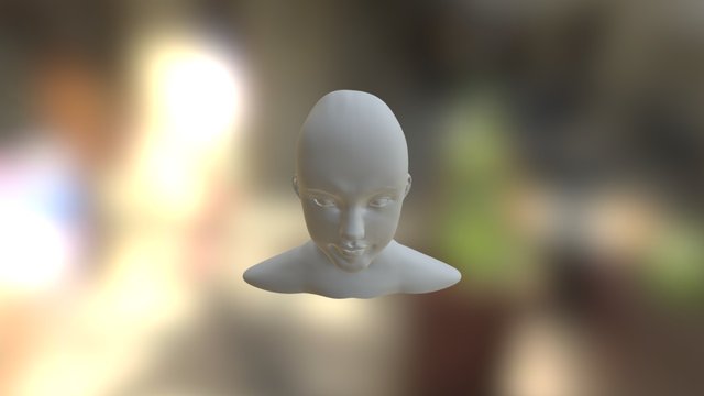 Face Model 3D Model