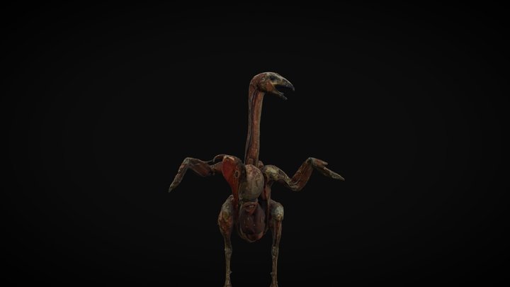 Pavo Clásico - Modelo Dr.Azoux 3D Model