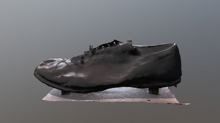 Texas Wesleyan baseball shoe 3D Model