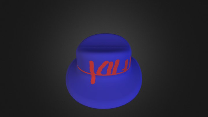 testbluehat 3D Model