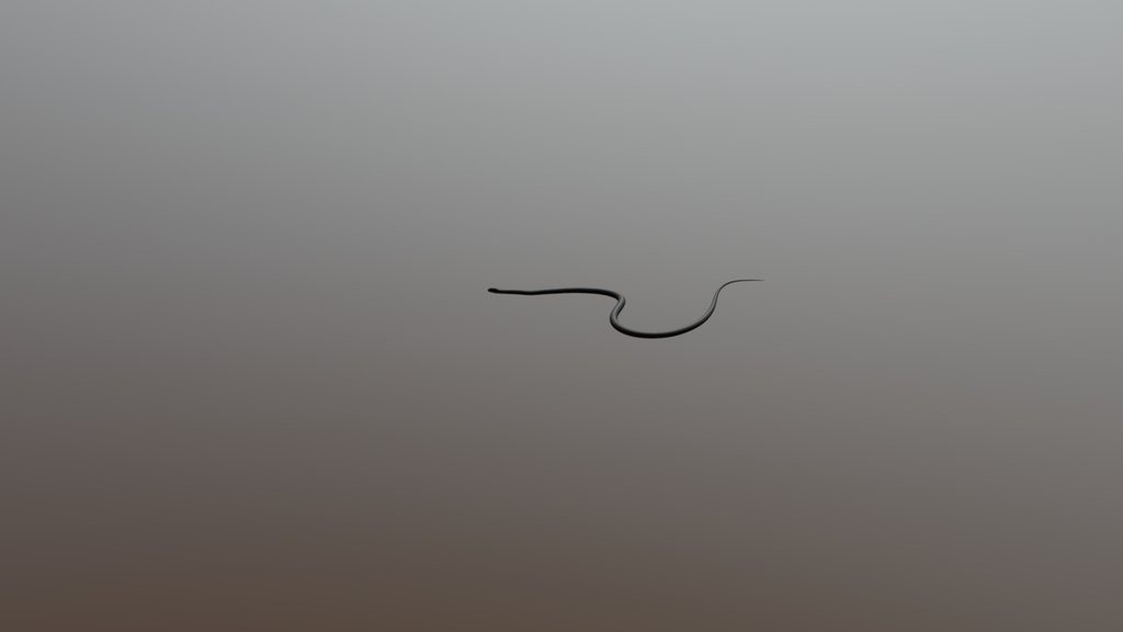 3D Cyprus Reptiles: Large whip snake - SCENE 03