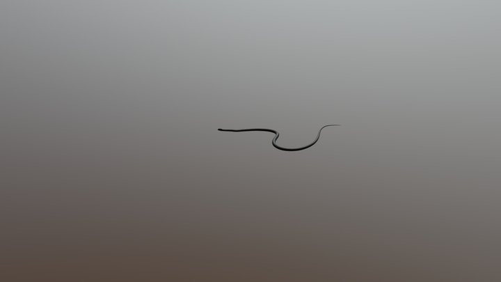 3D Cyprus Reptiles: Large whip snake - SCENE 03 3D Model