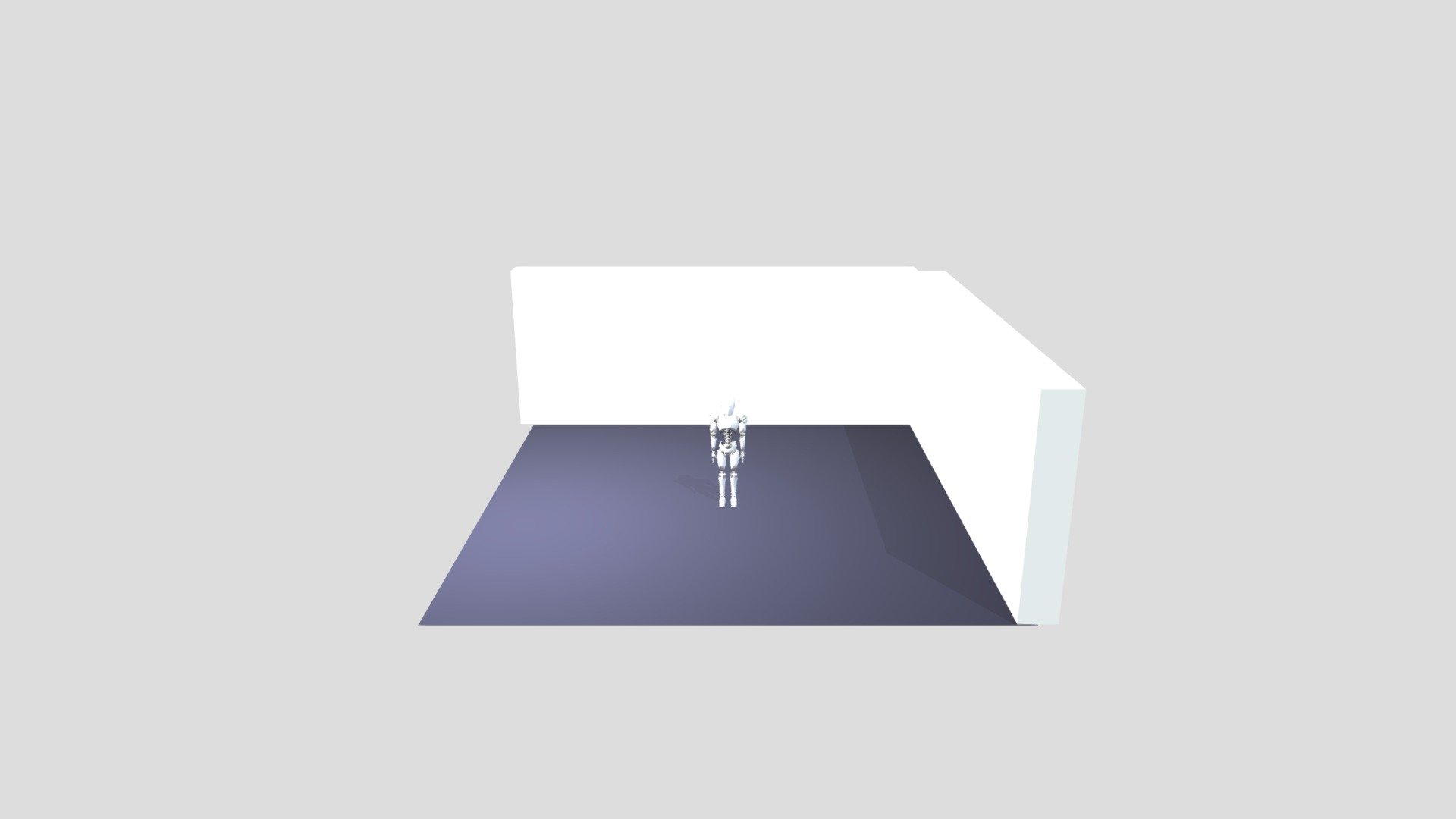 Short Walk Animation