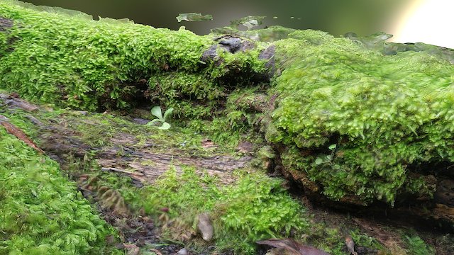 Moss Pit 3D Model