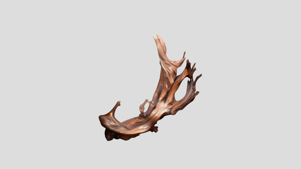 tree branch