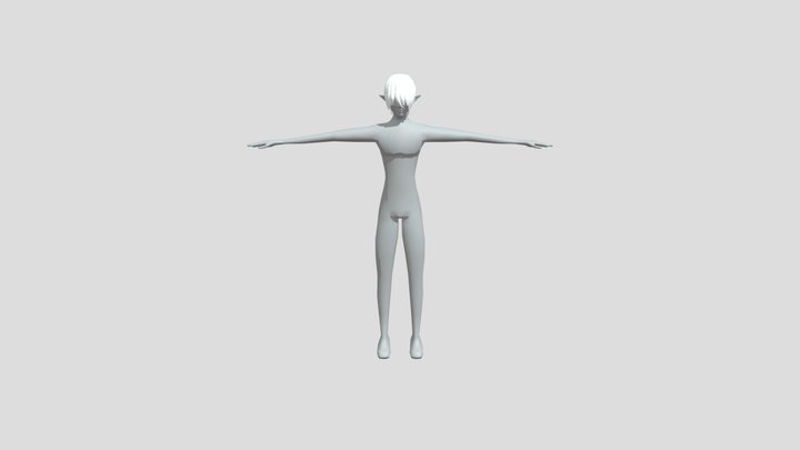 body 3D Model