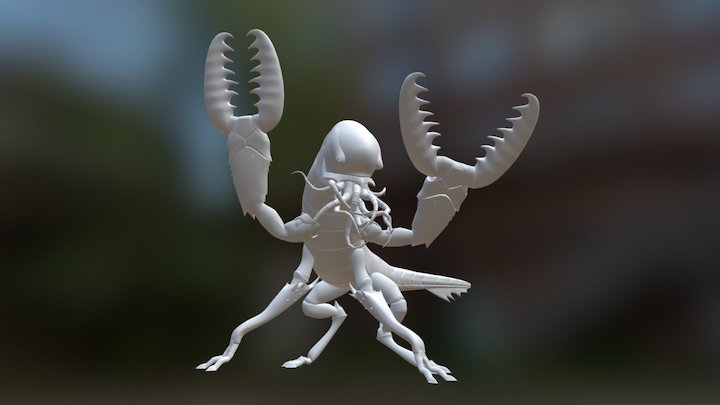 Chuul 3D Model