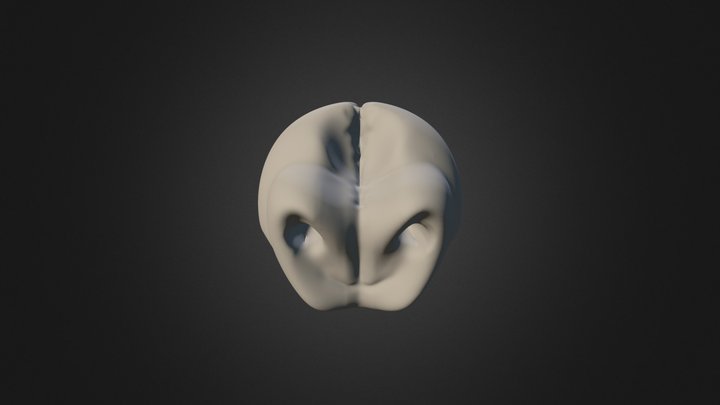 Pig Nose 3D Model
