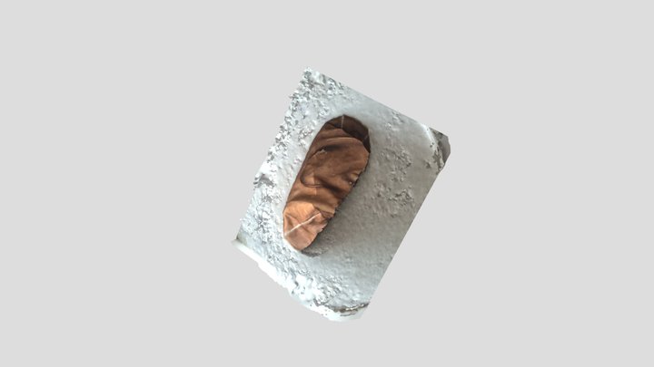 Sassnevaessko Model 3D Model