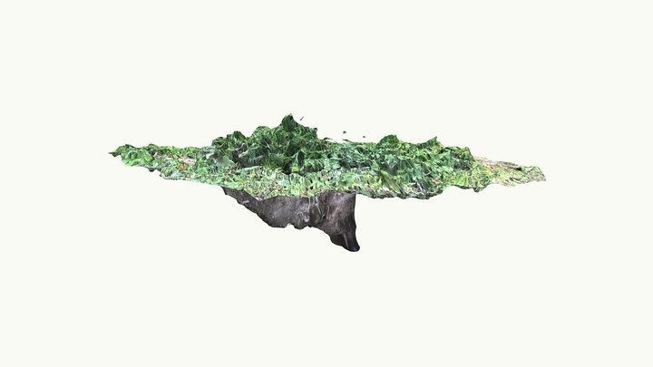 Rabbit - habitat 3D Model