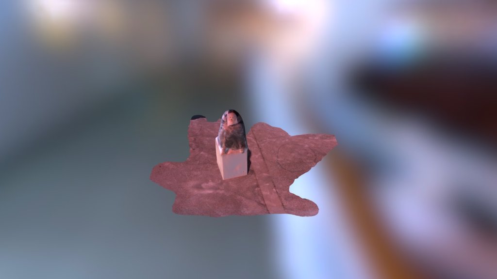 dog2