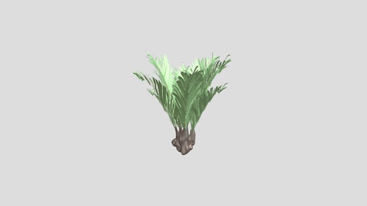 NIPAH TREE 3D Model