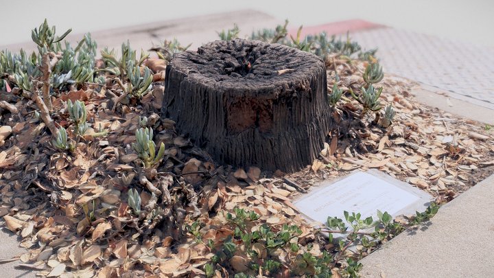 Broken Memorial