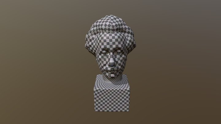 einstein med 3D Model