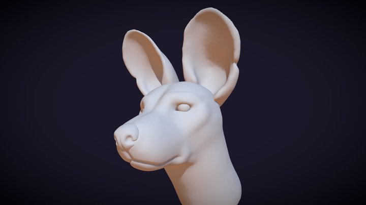 African Painted Dog Study 3D Model