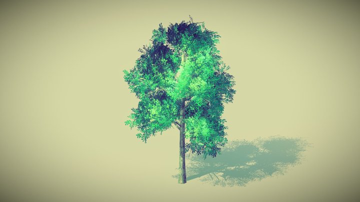 Jabami Anime Tree v1 3D Model