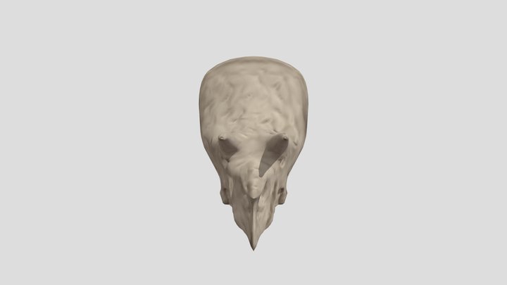Triceratops 3D Model