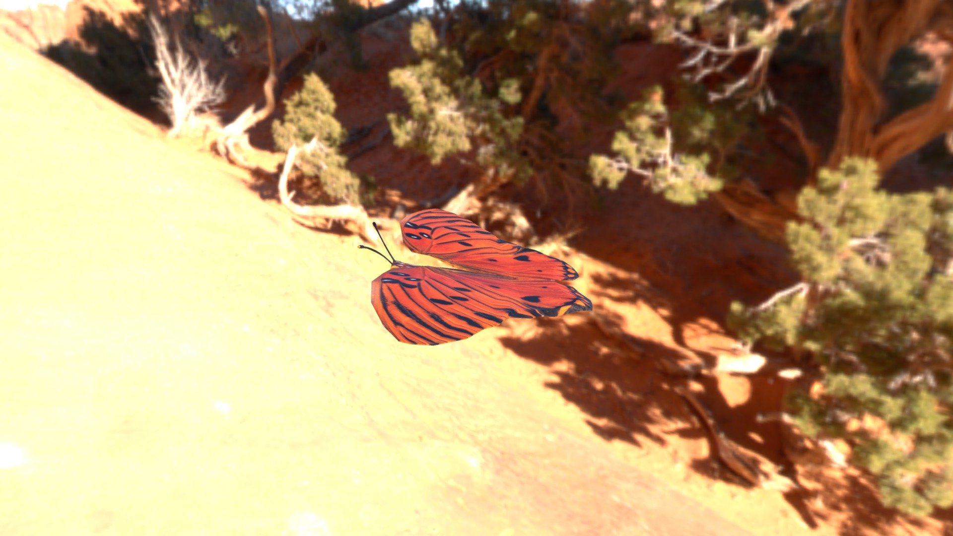 Gulf Fritillary Butterfly