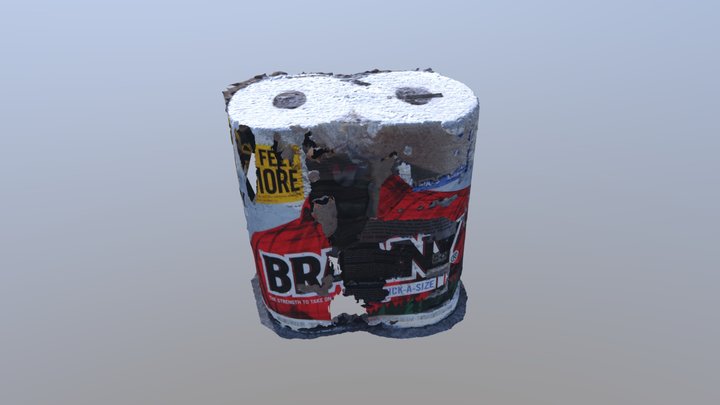 Brawny_3.1.2019_Outside 3D Model